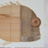 Pesce di legno